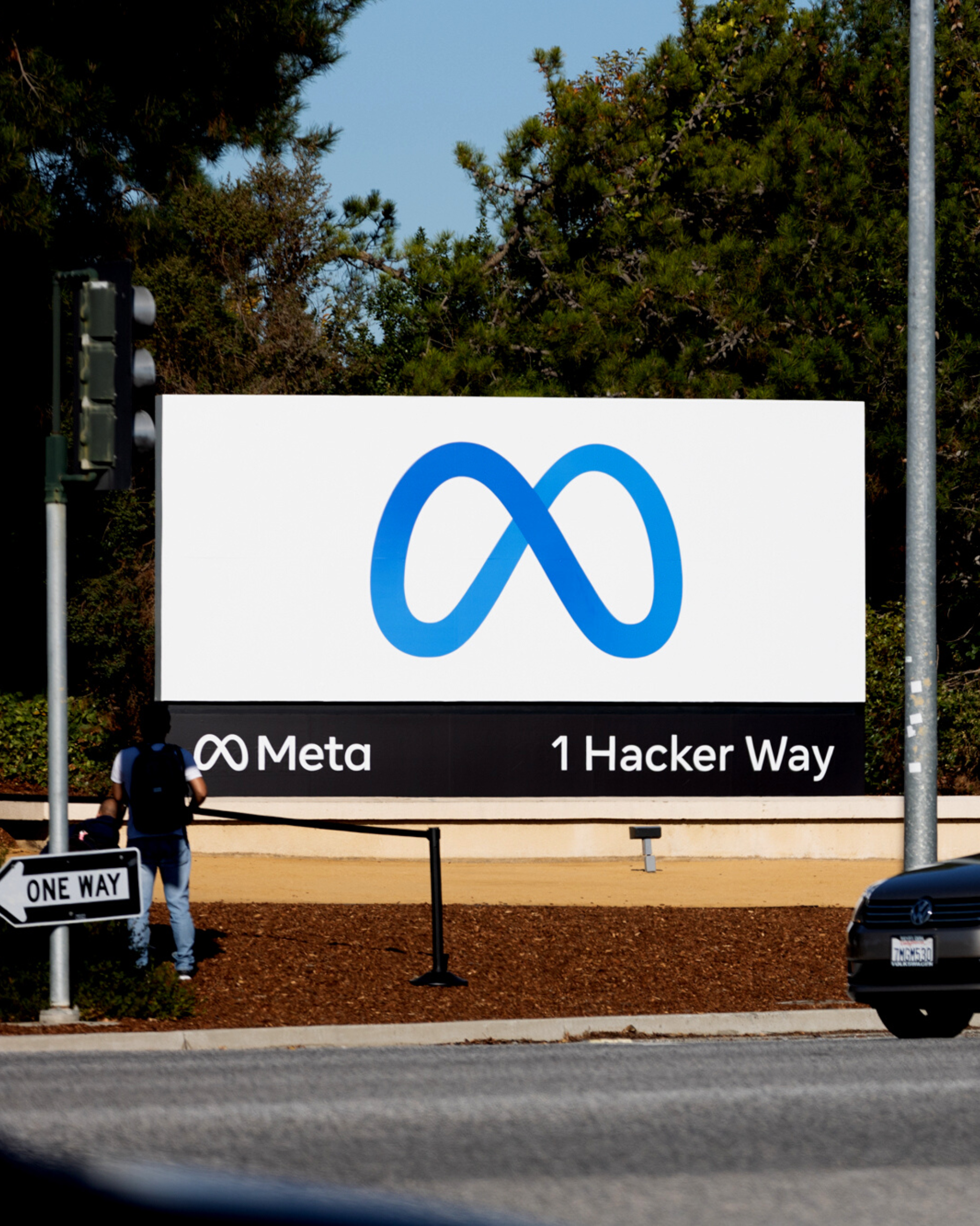 MetaVerification-6865874da5d63