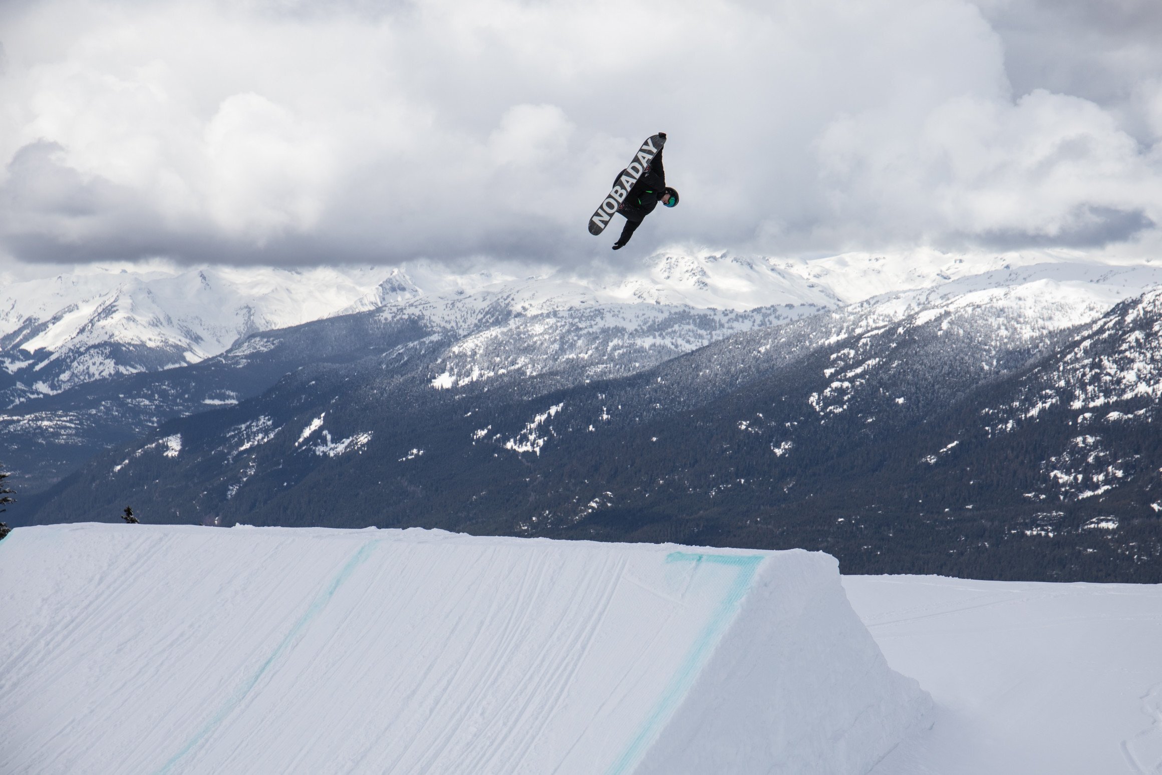 maxparrot-6865930aa396f