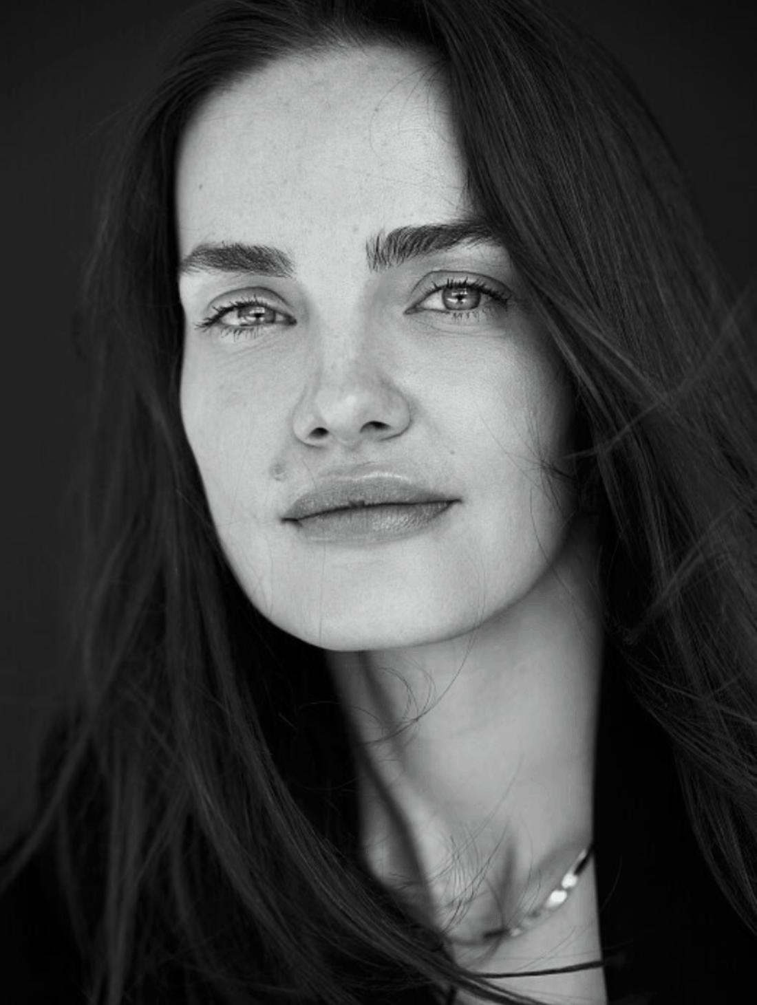 ADA W - Dulcedo